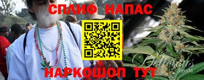 mdpv Можга